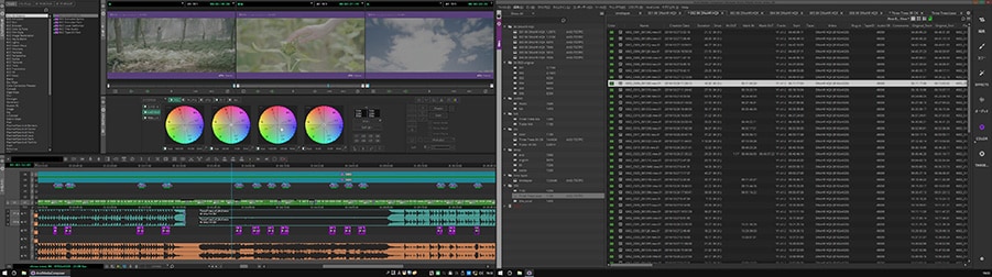 media composer timeline of three trees from kansai tv