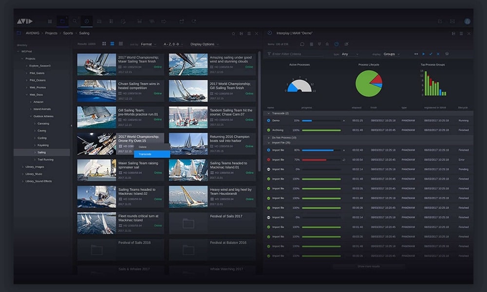 MediaCentral window showing groupings of media assets for easier and better management