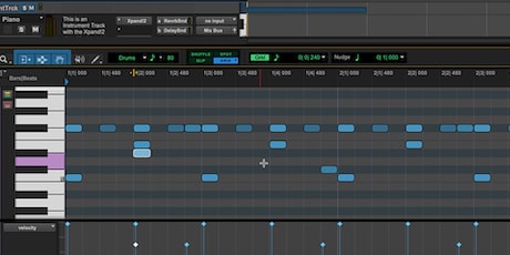 Screenshot of Pro Tools Intro MIDI editor