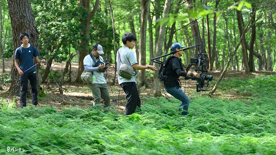 shooting three trees from kansai tv