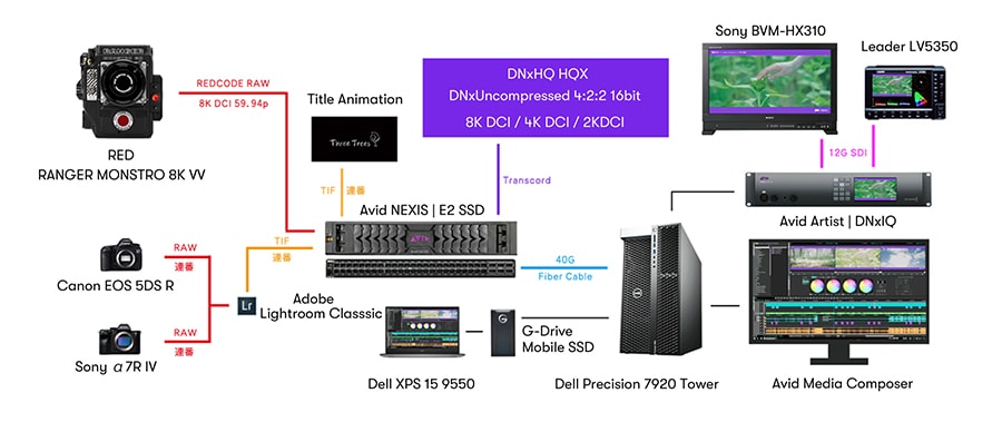 workflow and equipment diagram for Three Trees from Kansai TV