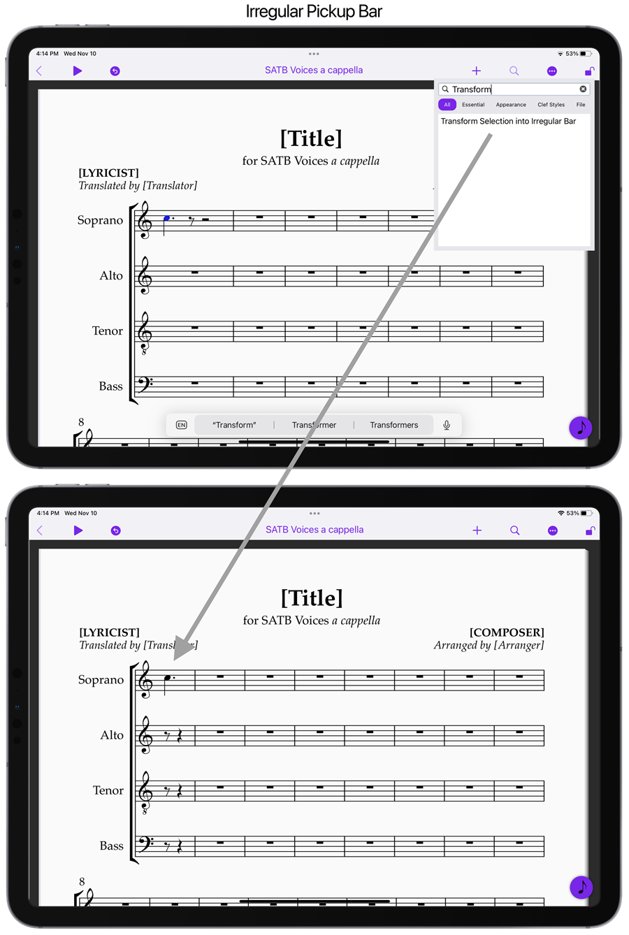 7 Sibelius 202111 Transform Selection